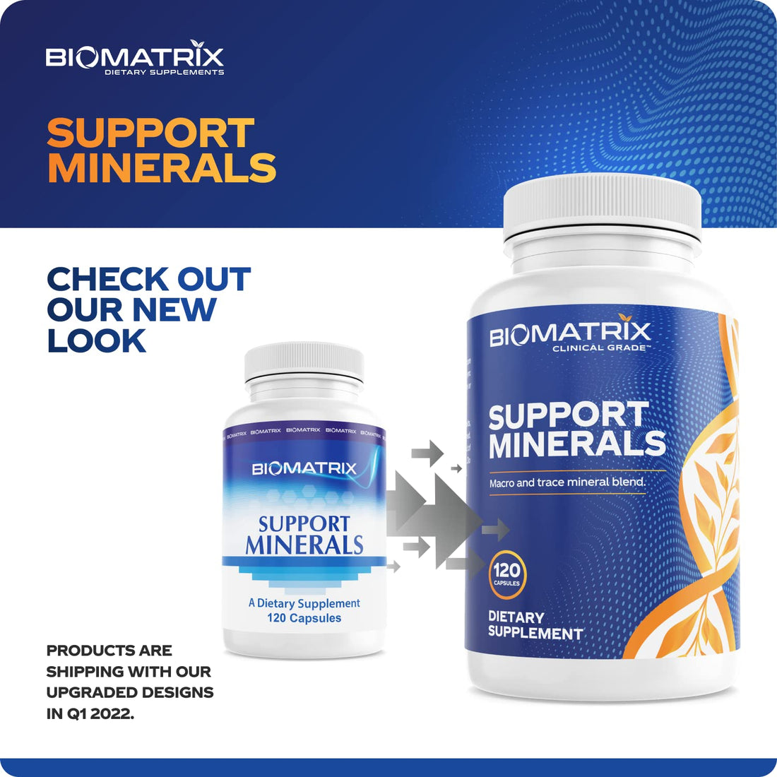 BioMatrix Mineral Supplement for Men and Women, Chelated Minerals | Iron-Free, Calcium, Magnesium, Copper, Zinc, Vitamin D, Iodine | Veggie Caps, 30-Day Supply BioMatrixBuy Supplements Australia