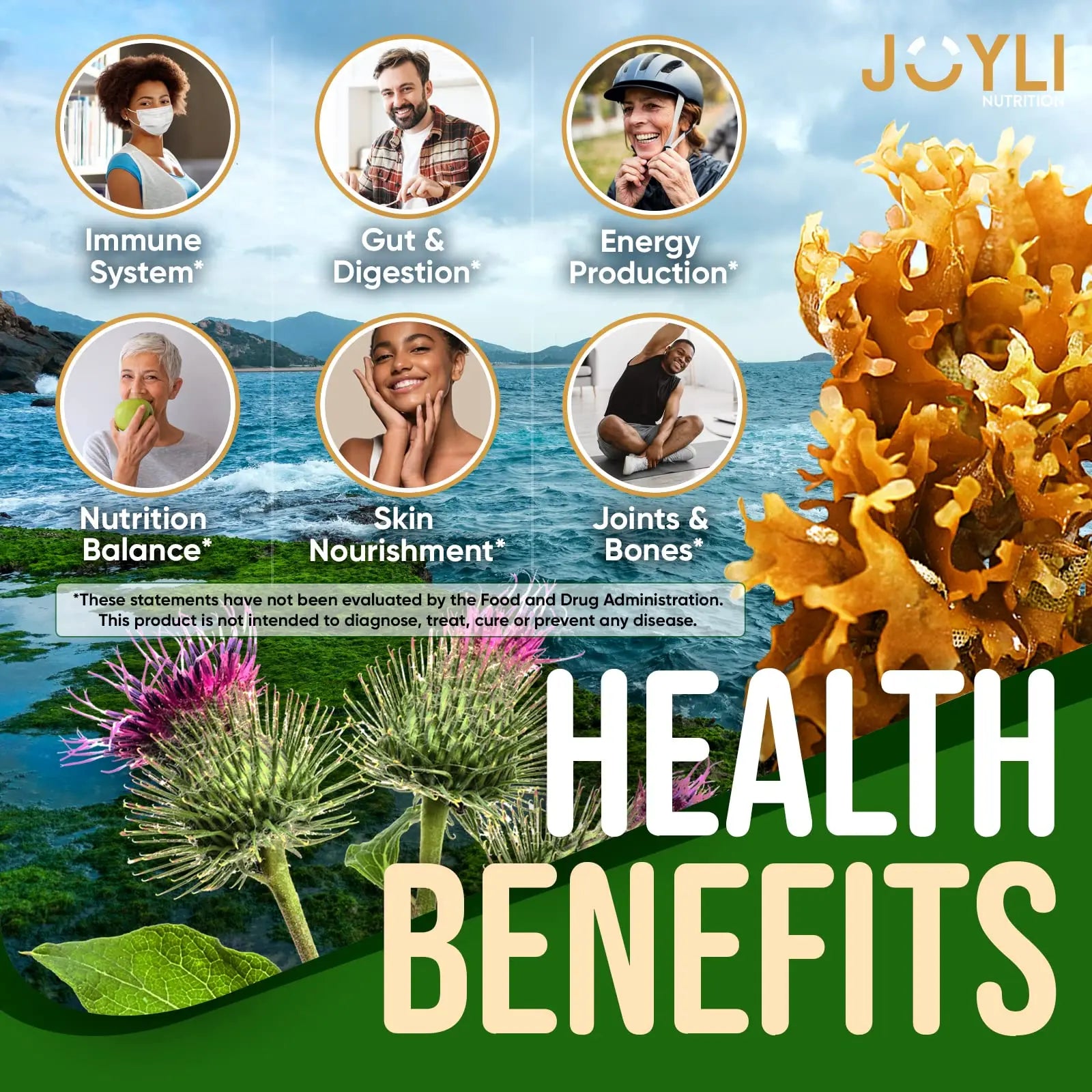 Sea Moss Gummies - Irish Seamoss Gummies for Adults & Kids - Advanced Superfood Supplement with Natural Sea Moss Gel, Bladderwrack & Burdock Root Extract - 60 Vegan Irish Moss Gummy Bears JOYLI NutritionBuy Supplements Australia